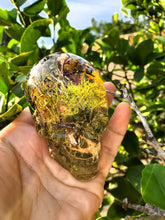 Resin Skull Botanical Terrarium Forest Paperweight Keepsake. Terrarium Paperweight.Botanical Keepsake. Flower Skull Paperweight.