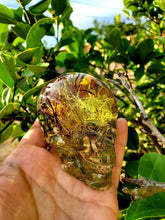Resin Skull Botanical Terrarium Forest Paperweight Keepsake. Terrarium Paperweight.Botanical Keepsake. Flower Skull Paperweight.