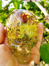 Resin Skull Botanical Terrarium Forest Paperweight Keepsake. Terrarium Paperweight.Botanical Keepsake. Flower Skull Paperweight.