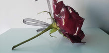 Custom order Preserving Flowers Blue Hydrangea encased in Resin Crystal Paperweight Keepsake Sweet romantic memories.
