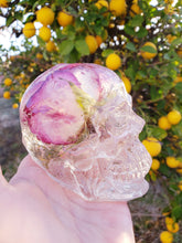 Resin Skull Preserved Flowers Paperweight Keepsake. Preserving Funeral flowers.Preserved Rose Paperweight.Rose Keepsake.Flower Skull