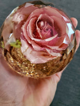 Forever Rose. Preserved Wedding Bridal Flowers Paperweight Keepsake Beauty and the Beast Rose - Real Rose preserved to last forever,