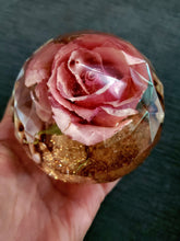 Forever Rose. Preserved Wedding Bridal Flowers Paperweight Keepsake Beauty and the Beast Rose - Real Rose preserved to last forever,