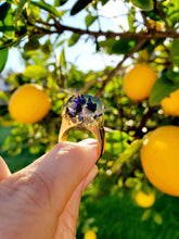 Pet Loss Grief. Memorial Resin Cremation Ring .Memorial Sympathy with pet's ashes.Pet remembrance .Dog Cat ashes . Urn Ring.Pet Loss Ring.