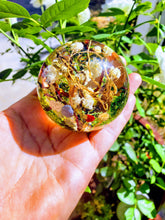 Custom Memorial Pet Ashes Urn Forest Terrarium Botanical Resin Art, Resin Paperweight Sphere, Memorial, Anniversary, Special Occasion,