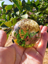 Custom Memorial Pet Ashes Urn Forest Terrarium Botanical Resin Art, Resin Paperweight Sphere, Memorial, Anniversary, Special Occasion,