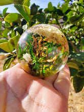 Custom Memorial Pet Ashes Urn Forest Terrarium Botanical Resin Art, Resin Paperweight Sphere, Memorial, Anniversary, Special Occasion,