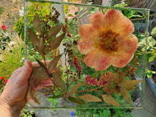 Flower Preservation. Pressed flower frame. Resin Frame. Flowers Preservation. Preserved Wedding Funeral Flowers .Pressed Flowers Frame.