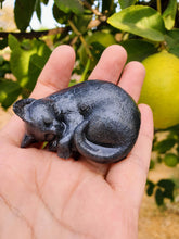 Pet Ashes Cat Dog Memorial Urn from Pet Ashes Memorial Flowers Pet Cremains Fur Custom Keepsake. Cat Dog ashes Urn