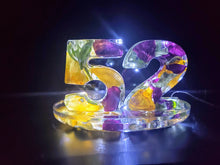 Custom Preserved wedding Flowers Petals in Large Resin Digits Age Numbers Sign Keepsake memories of your anniversary. Fairy Lights Lamp.