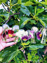 Preserved Pressed Wedding Flowers in Resin MOM Sign Keepsake Sweet memories of your wedding, funeral, anniversary. Flowers Frame.