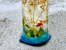Aquarium Fish in a Bag Miniature Diorama Terrarium Fish Tank Herbarium Koi Carp Fish miniature under water. Ocean diorama, Mini aquarium