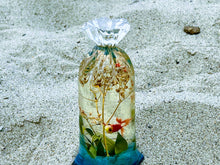 Aquarium Fish in a Bag Miniature Diorama Terrarium Fish Tank Herbarium Koi Carp Fish miniature under water. Ocean diorama, Mini aquarium