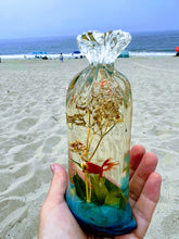 Aquarium Fish in a Bag Miniature Diorama Terrarium Fish Tank Herbarium Koi Carp Fish miniature under water. Ocean diorama, Mini aquarium