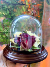 Wedding Flower Preservation Glass Dome Keepsake Bridal memories of your wedding, anniversary, funeral. Resin Paperweights