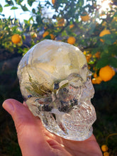 Resin Skull Preserved White Rose Paperweight Keepsake.Rose Paperweights.Dried Flowers Art.
