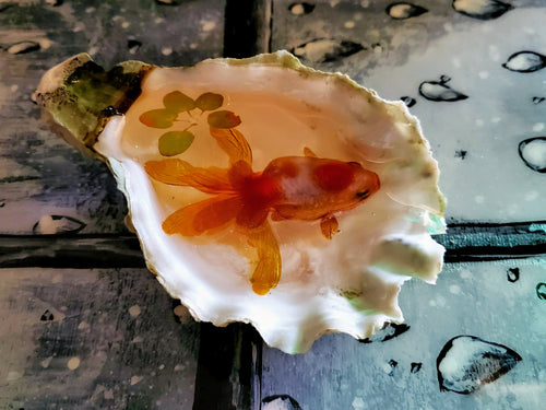 Custom Koi Golden Fish painting acrylic resin Paperweight Keepsake in Large Shell. Resin Fish pond miniature. Fish Keepsake paperweight.