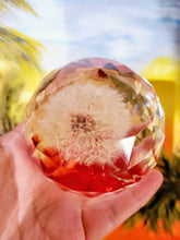 Real Flower Dandelion Paperweight Faceted Sphere Resin Art,2 3/4" Sphere, Memorial, Anniversary, Special Occasion, Paperweights