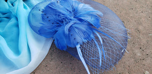 Royal Blue Wedding Church  Party Fascinator Hat.Feather Bridal Wedding Hair Clip Head Accessory. Bridal Derby Fascinator hat.Headpiece