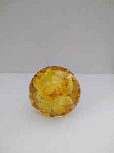 Custom Diamond shaped Golden Resin Real Flowers Door Knobs. Cabinet Knobs. Kitchen Bathroom Knobs. Paperweight knobs pulls.