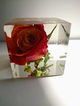 Red Orange Flowers Rose in cube keepsake paperweight NATURAL GIFT. Rose Paperweights. Home Office Deck Decor.Gift.Glass like.Crystals