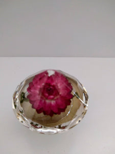 Diamond shaped Red wild Rose Resin Real Flowers Door Knobs. Cabinet Knobs.Kitchen Bathroom Knobs.Paperweight knobs pulls.