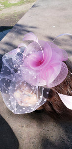 Pink Fascinator Derby Race Bridal Church Hat. Wedding Tea Party Mini Hat.Costume Feather Bird Cage Veil Hair Clip Head Accessory.Headpiece