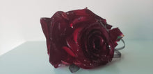 Custom order Preserving Flowers Blue Hydrangea encased in Resin Crystal Paperweight Keepsake Sweet romantic memories.