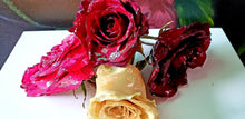 Wedding Bridal Funeral flowers preservation. Love never dies. Memorial paperweight keepsake.Preserving funeral flowers.Preserved Rose