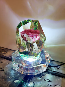 Custom Flower Paperweight Lamp.