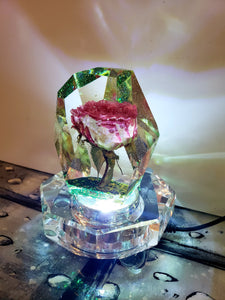 Resin Preserved Flowers in 3D Resin Keepsake Lamp. Rose Paperweight Keepsake. romantic memories of your wedding, anniversary.Beauty & Beast.