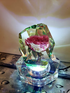 Resin Preserved Flowers in 3D Resin Keepsake Lamp. Rose Paperweight Keepsake. romantic memories of your wedding, anniversary.Beauty & Beast.