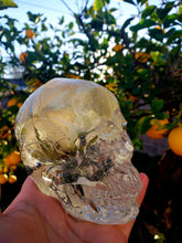 Resin Skull Preserved White Rose Paperweight Keepsake.Rose Paperweights.Dried Flowers Art.