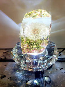 Resin Preserved Dandelion in 3D Resin Keepsake Lamp. Paperweight Keepsake. romantic memories of your wedding, anniversary.Beauty & Beast.