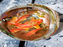 Large Resin Paperweight Gold Koi Fish Pond in Abalone Shell Acrylic Painting Resin Miniature Keepsake Paperweights . Office home decor gift.