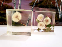 Preserving Dandelion in Large Resin Cube Paperweight Keepsake. Resin Flowers Paperweight Keepsake. Dandelion Paperweights.
