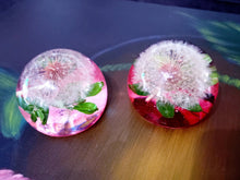 Dandelion Resin Paperweight! A thoughtful gift for a loved one! A half of sphere, orb, globe, ball keepsake. Make a wish!Home decor.