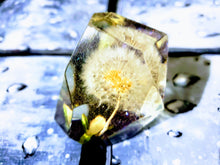 Dandelion Paperweight Keepsake. Resin Flowers Paperweights. Love Forever. Preserved Dandelion Real Flowers.Healing Crystals.
