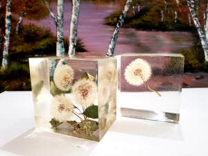 Preserving Dandelion in Large Resin Cube Paperweight Keepsake. Resin Flowers Paperweight Keepsake. Dandelion Paperweights.
