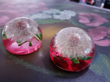 Dandelion Resin Paperweight! A thoughtful gift for a loved one! A half of sphere, orb, globe, ball keepsake. Make a wish!Home decor.