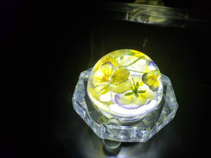 Flowers Paperweight Lamp. Resin Preserved Flowers in Resin Keepsake Lamp. Paperweight Keepsake. wedding, anniversary.