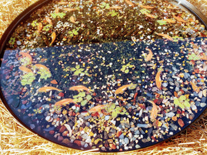 Resin Acrylic Painting Gold Koi Fish Pond in a Serving Tray/Side Table. Resin Painting Miniature Office home decor gift.Resin Serving Tray