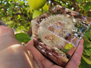 Real Flower Dandelion in cube keepsake paperweight NATURAL GIFT. Dandelion Paperweights. Home Office Deck Decor.Gift.Glass like.Crystals