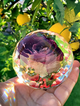 Forever Rose. Preserved Wedding Bridal Flowers Paperweight Keepsake Beauty and the Beast Rose - Real Rose preserved to last forever,