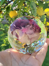 Forever Rose. Preserved Wedding Bridal Flowers Paperweight Keepsake Beauty and the Beast Rose - Real Rose preserved to last forever,