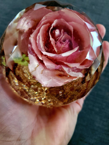 Forever Rose. Preserved Wedding Bridal Flowers Paperweight Keepsake Beauty and the Beast Rose - Real Rose preserved to last forever,