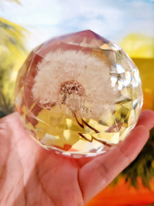 Real Flower Dandelion Paperweight Faceted Sphere Resin Art,2 3/4" Sphere, Memorial, Anniversary, Special Occasion, Paperweights