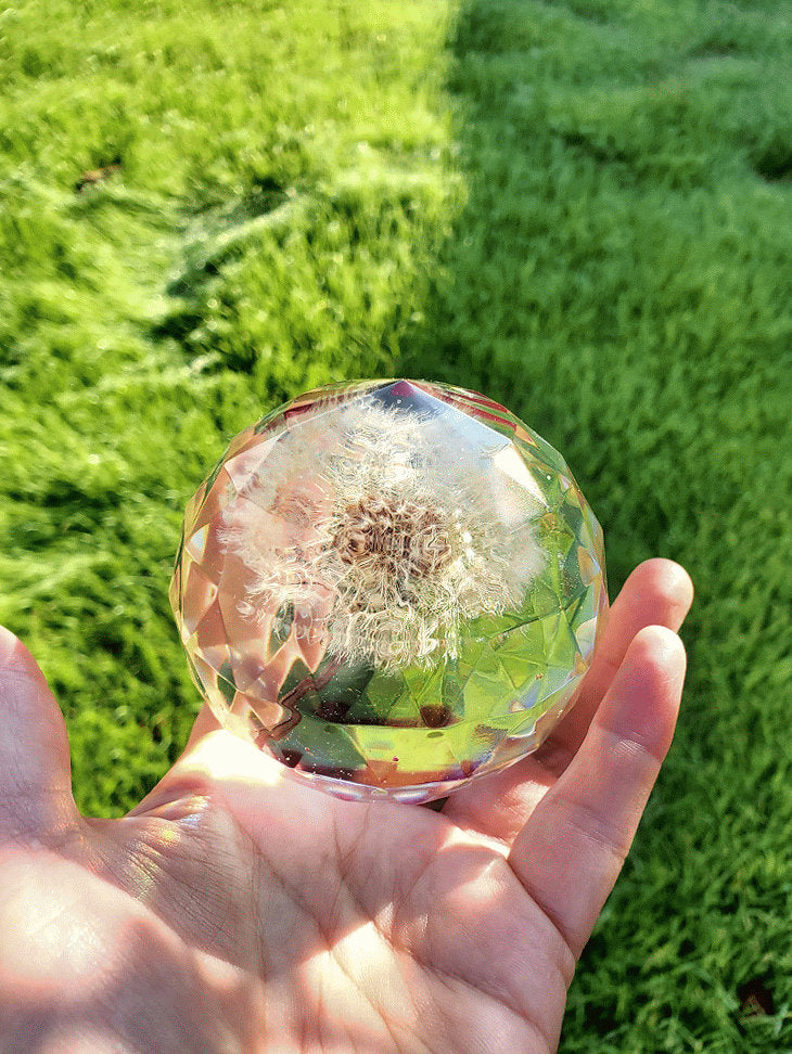 Real Flower Dandelion Paperweight Faceted Sphere Resin Art,2 3/4