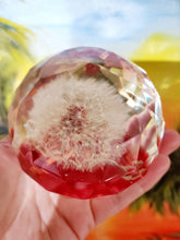 Real Flower Dandelion Paperweight Faceted Sphere Resin Art,2 3/4" Sphere, Memorial, Anniversary, Special Occasion, Paperweights