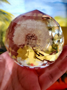 Real Flower Dandelion Paperweight Faceted Sphere Resin Art,2 3/4" Sphere, Memorial, Anniversary, Special Occasion, Paperweights